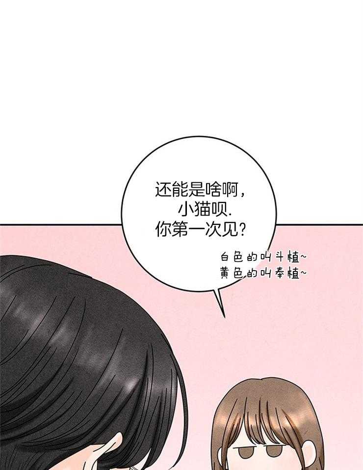 第76话_捡回家的新成员39