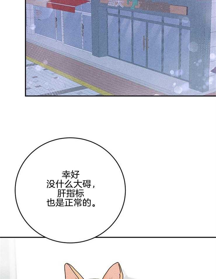 第68话_又找上来了1