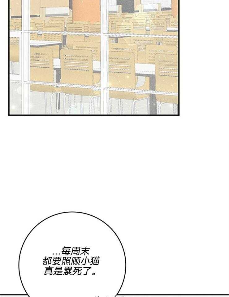 第68话_又找上来了17