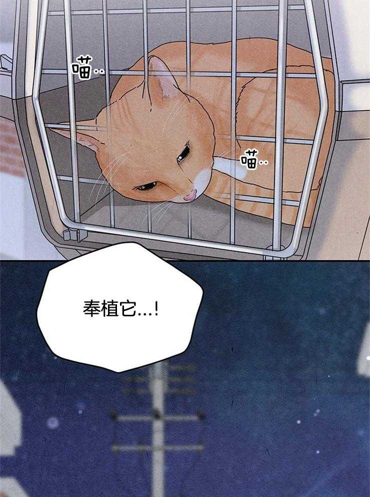 第67话_被塞狗粮41