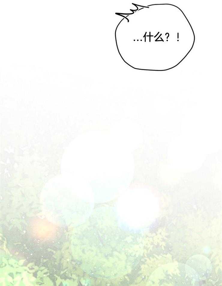 第49话_天价赔偿10