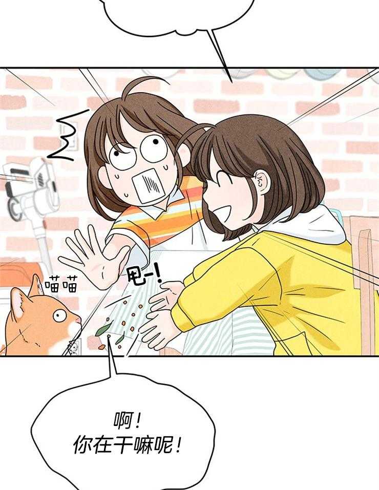 第27话_鸡飞狗跳的日常13