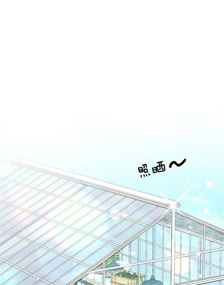 第26话_招妻广告0