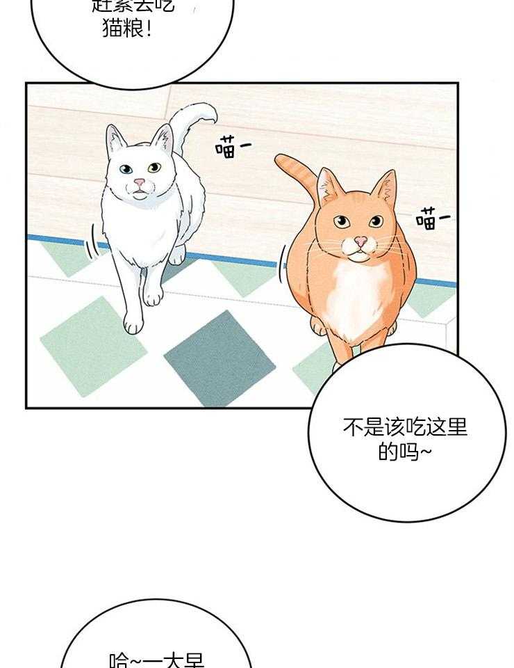 第26话_招妻广告36