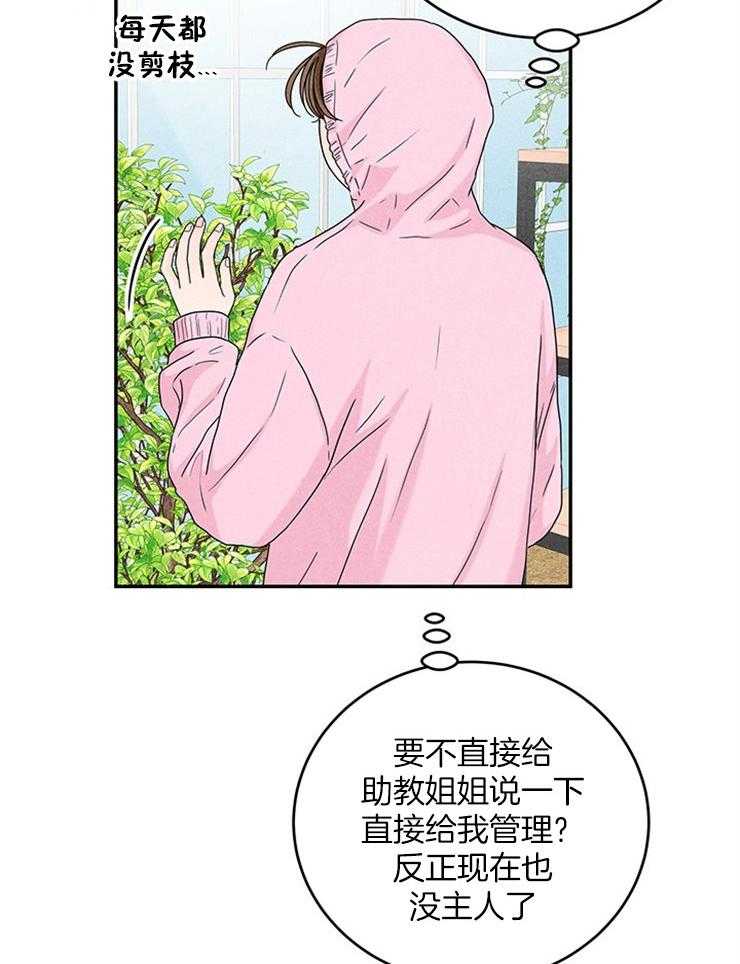 第20话_原来是偶像37