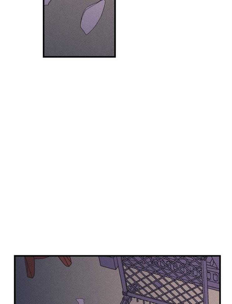 第42话_丽萨的诅咒1