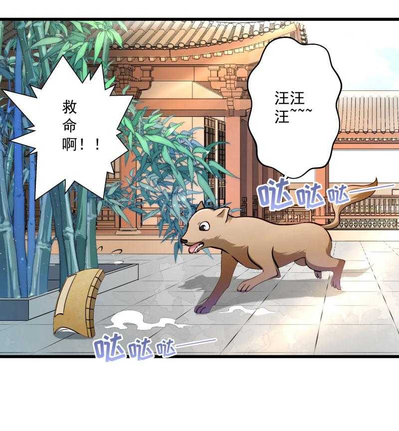 第12话_被狗追了！13