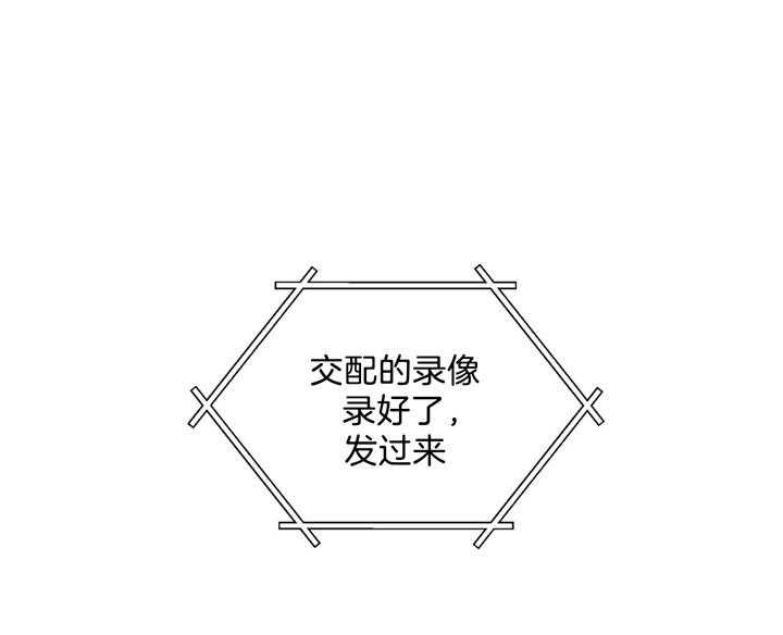 第41话_不要答应27