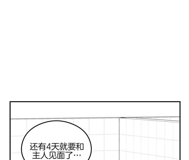 第24话_不见了22