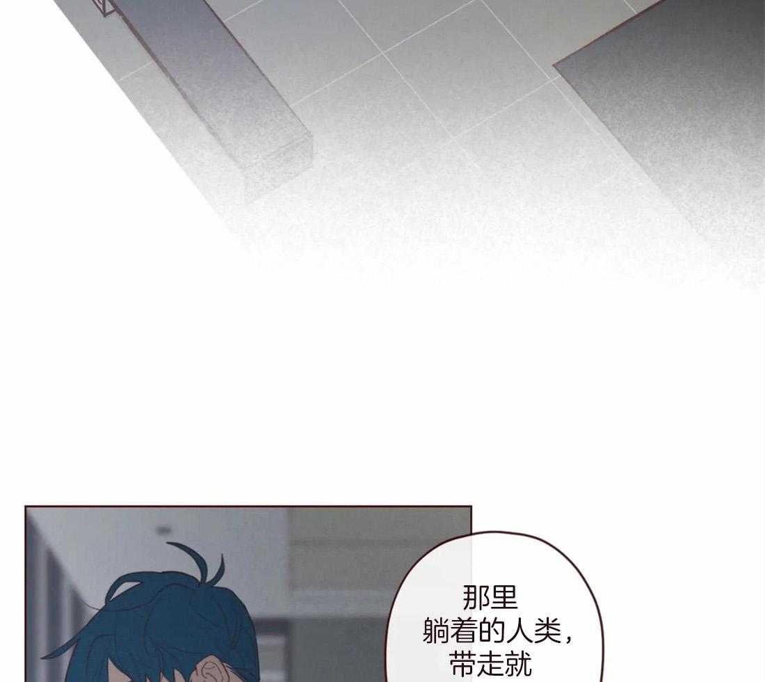 第121话_有“弓”的你9