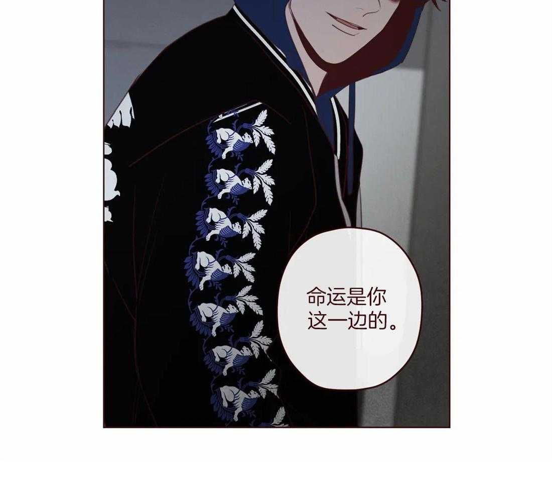 第119话_交给命运17