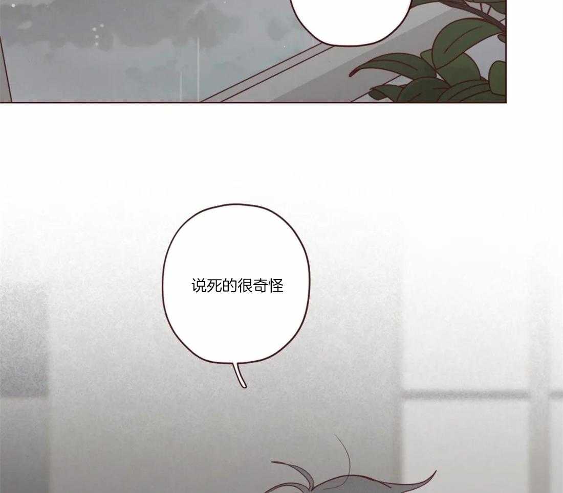 第81话_父母的死因（第一季完）17