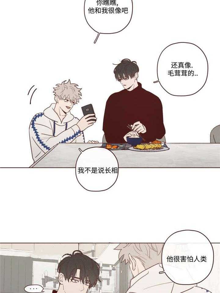 第39话_必须知道19