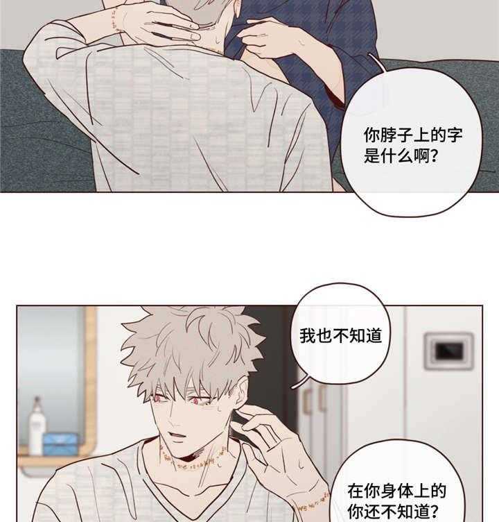 第27话_因为你6