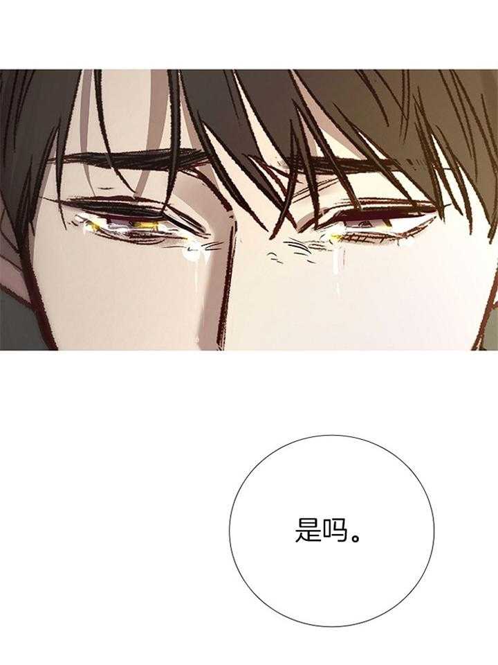第192话_准备（完）30