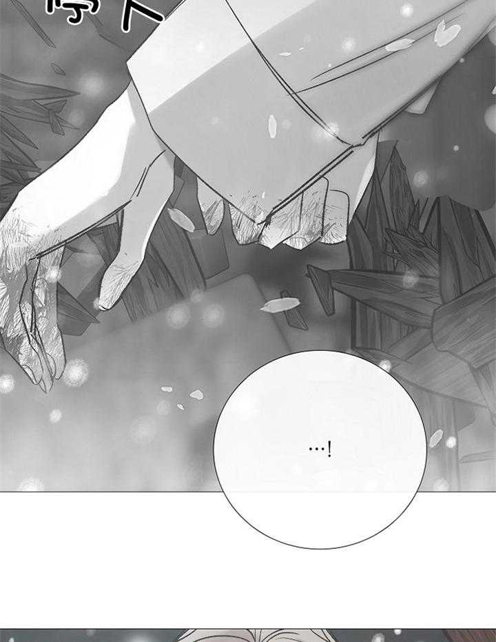 第190话_离开27