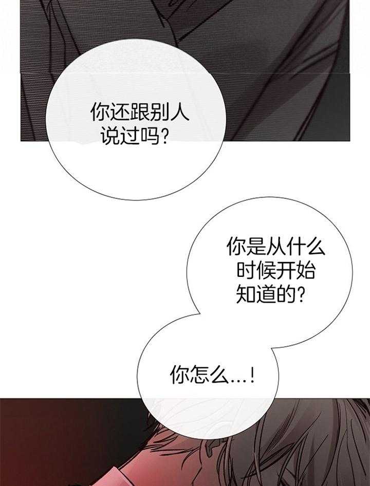 第167话_再次遇见18