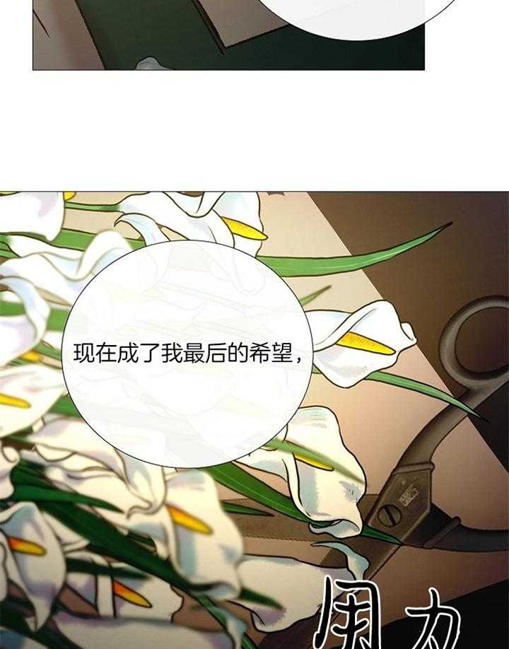 第158话_洽谈26