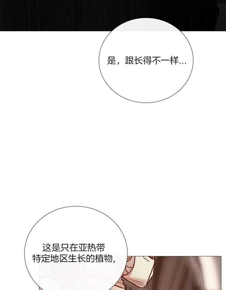 第155话_有毒的花7