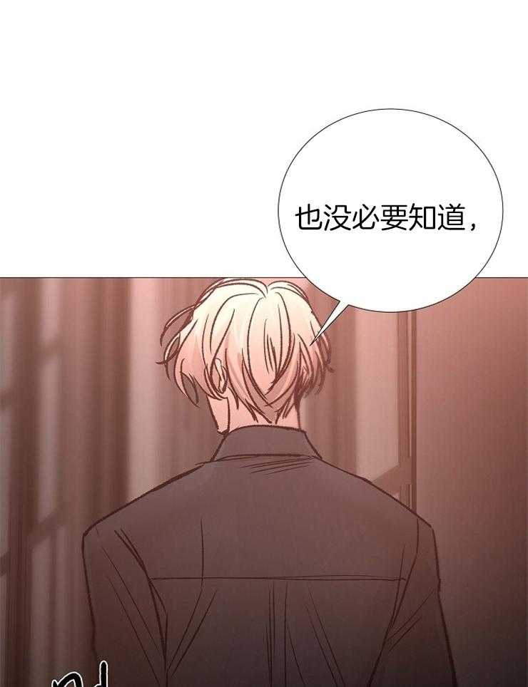 第135话_合适的时机15