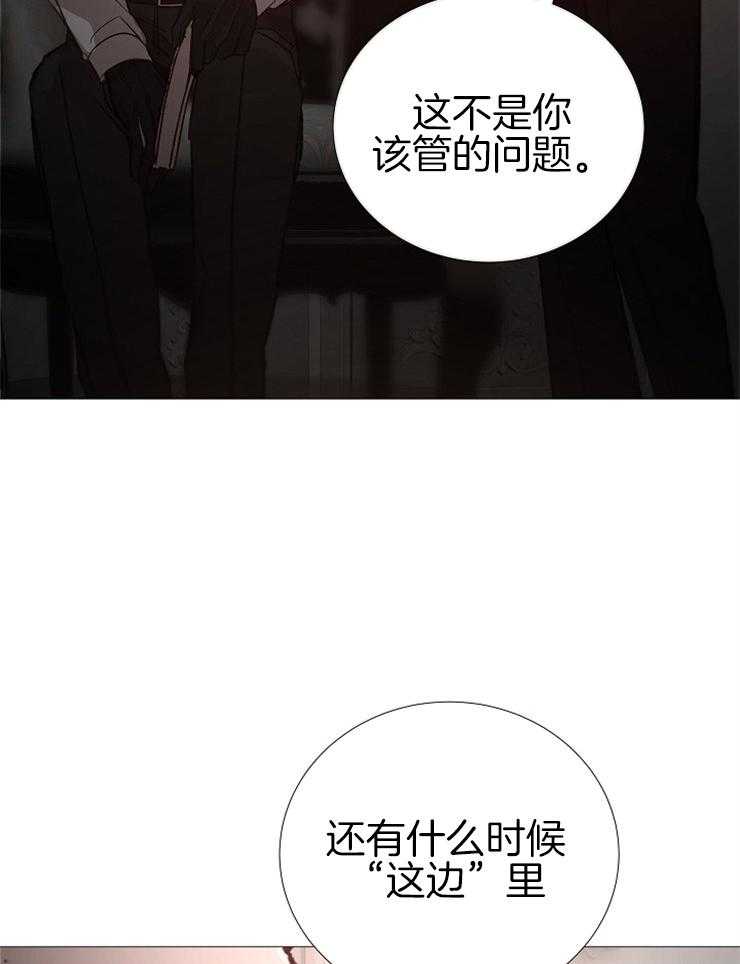 第135话_合适的时机4