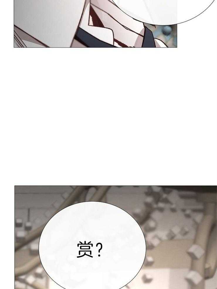 第117话_赏19