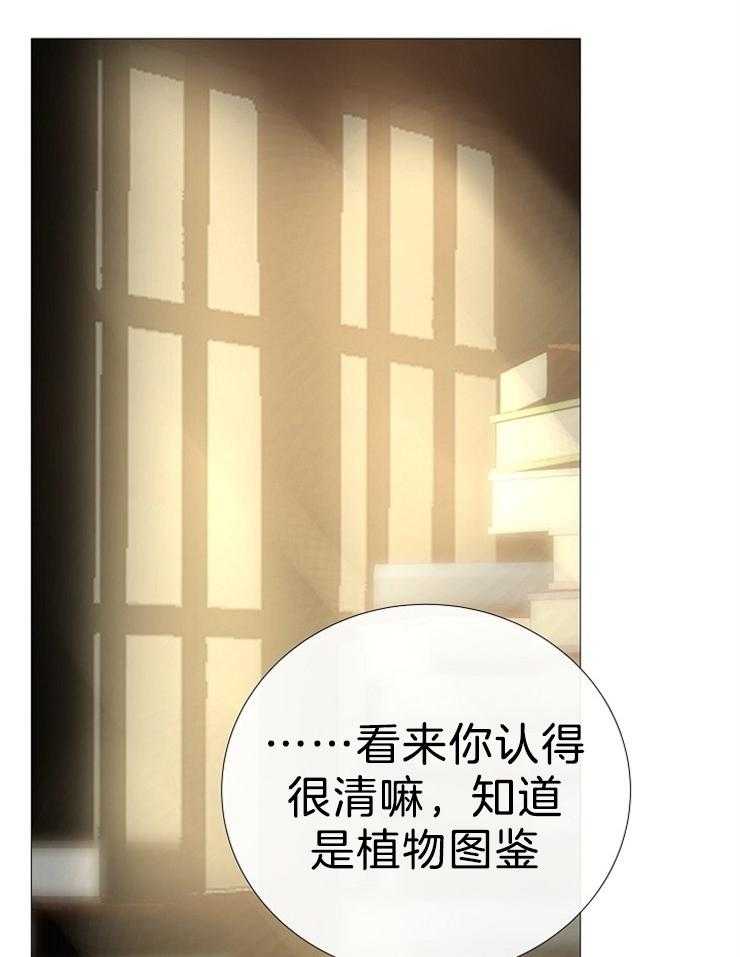 第101话_几年前死了21