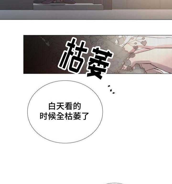 第49话_第49话31