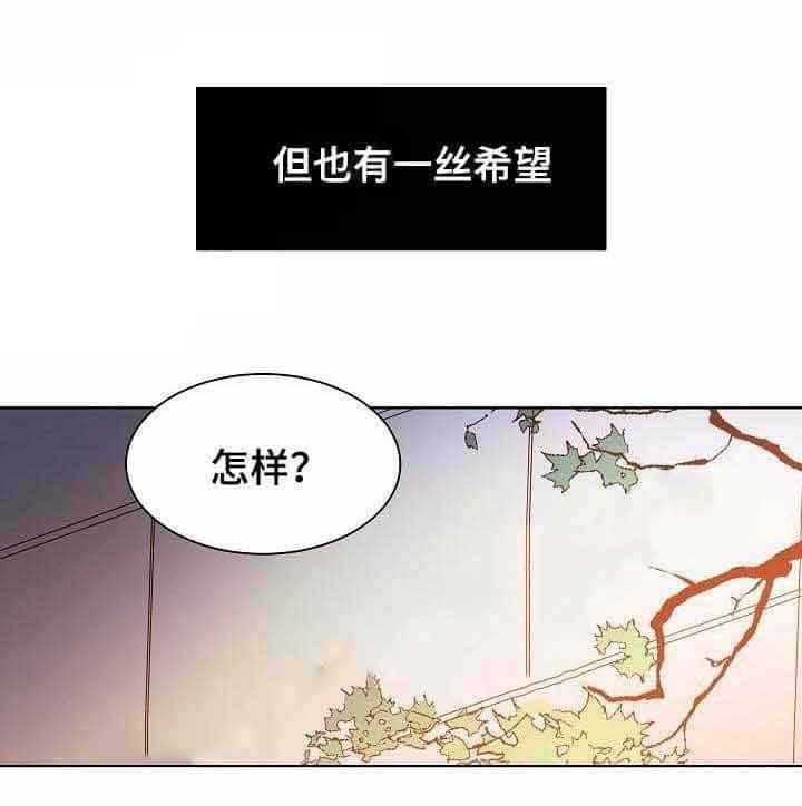 第17话_第17话9