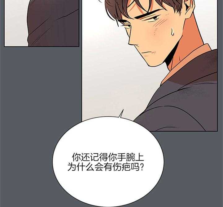 第118话_羡慕8