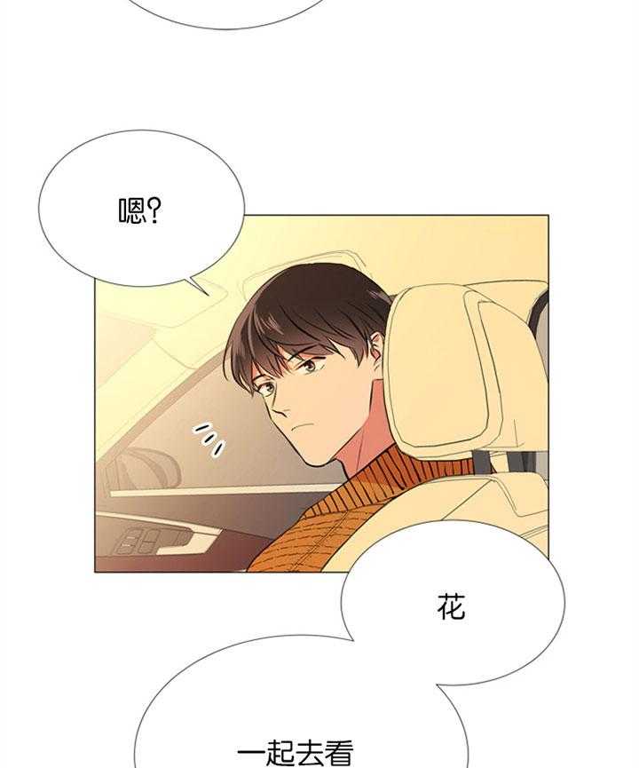 第56话_一起去看花10