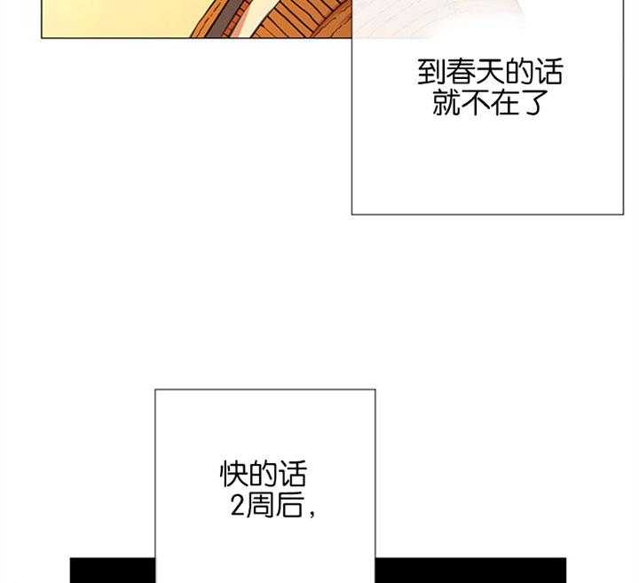 第56话_一起去看花14