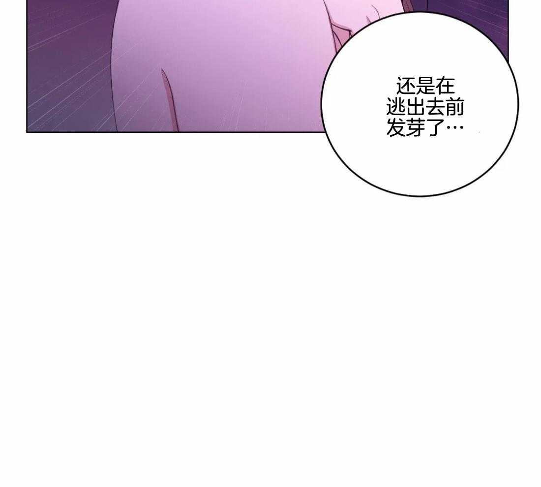 第138话_延期开花15