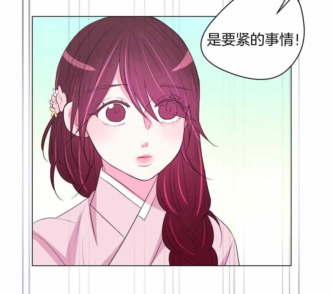 第99话_盛开期开始了40