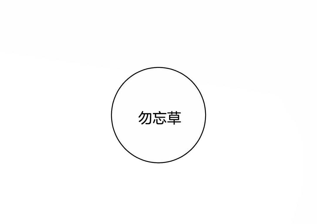 第68话_勿忘草8