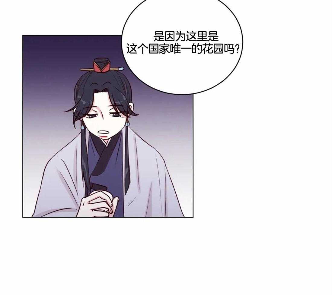 第5话_偷花的老鼠54