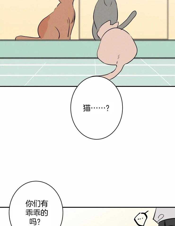 第64话_是毛孩子啊1