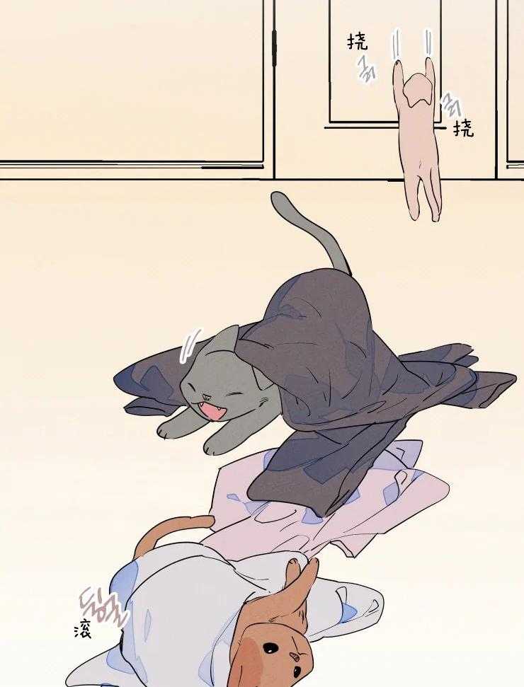 第64话_是毛孩子啊23