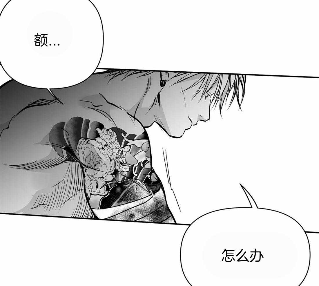 第115话_对不起受伤了14