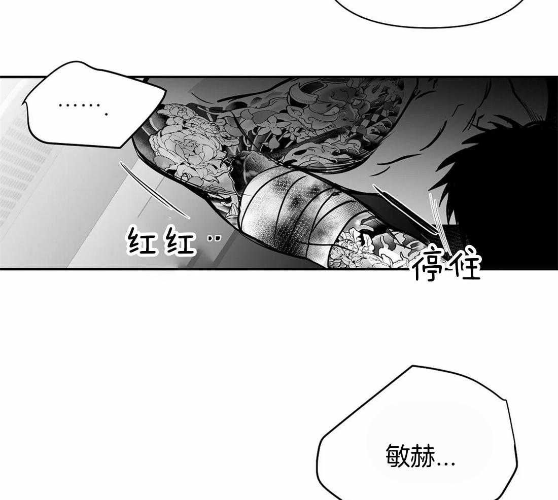 第115话_对不起受伤了15