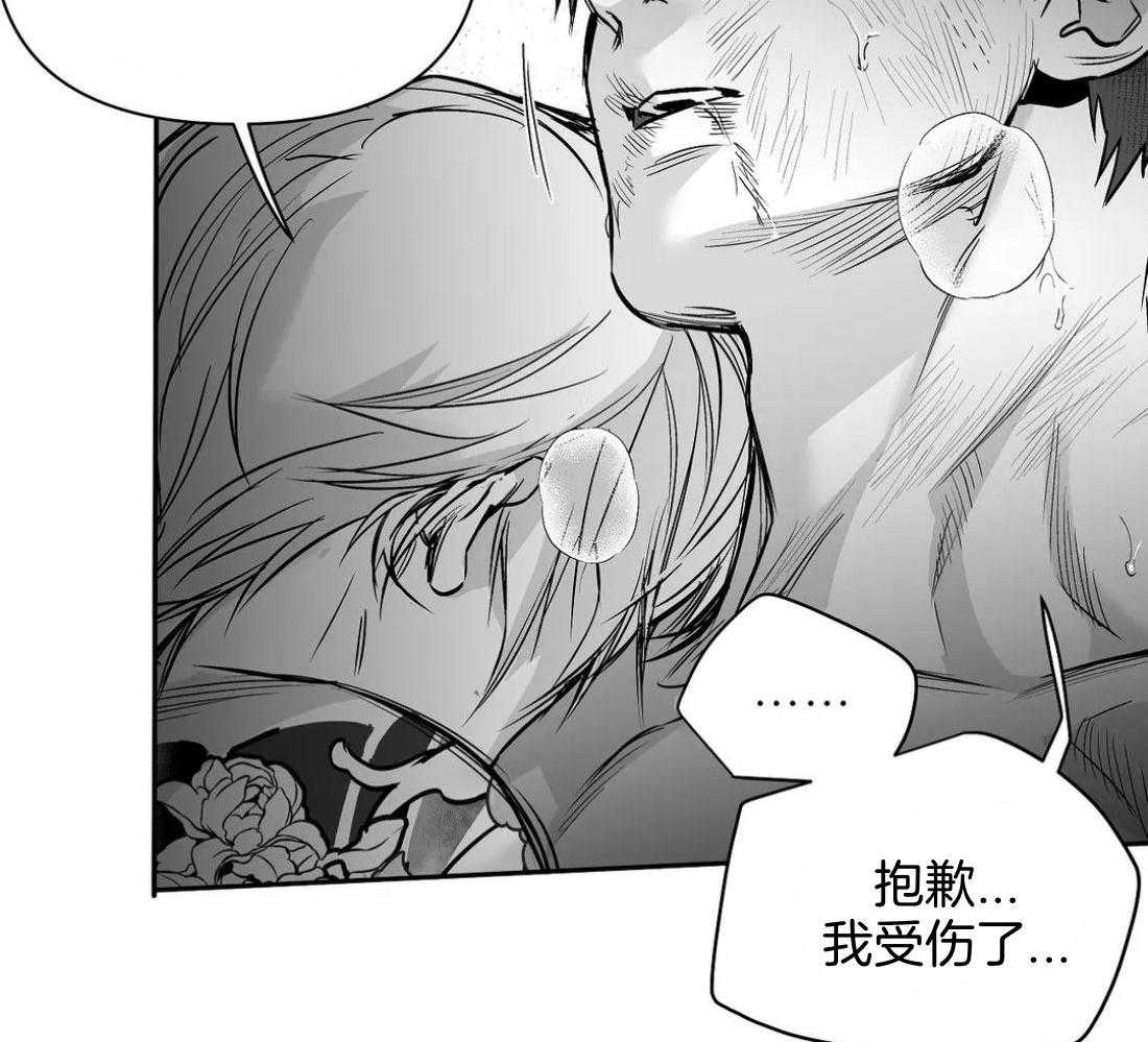 第115话_对不起受伤了43