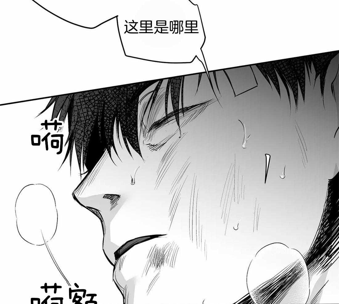 第115话_对不起受伤了5