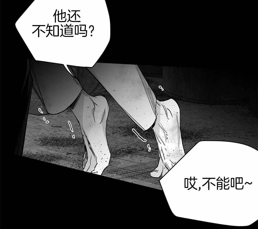 第85话_那张脸很像他17
