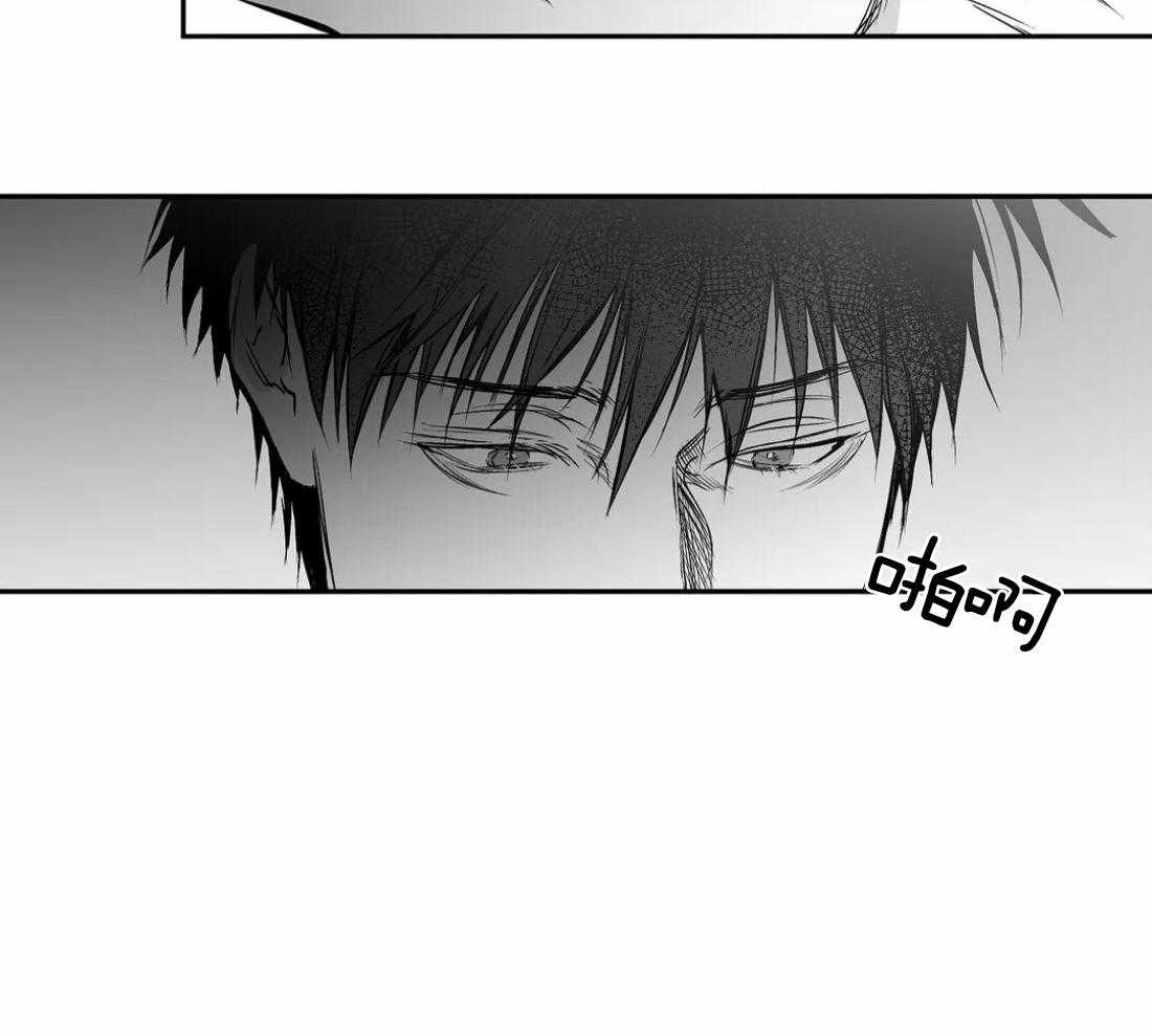 第73话_有动作了16