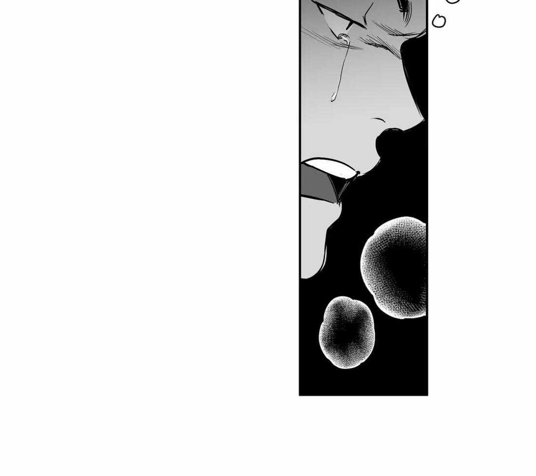 第65话_再次相遇13