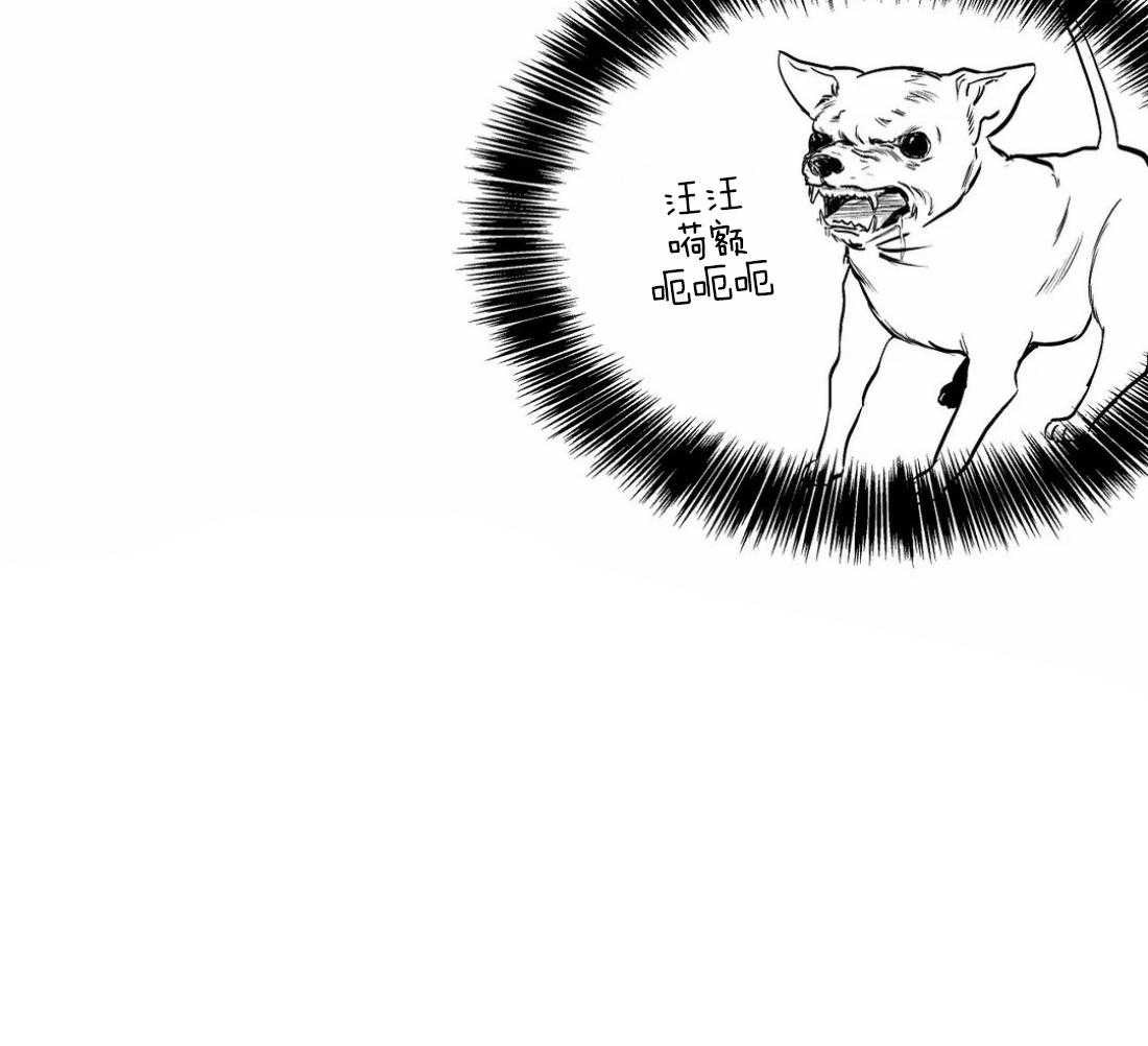 第65话_再次相遇45