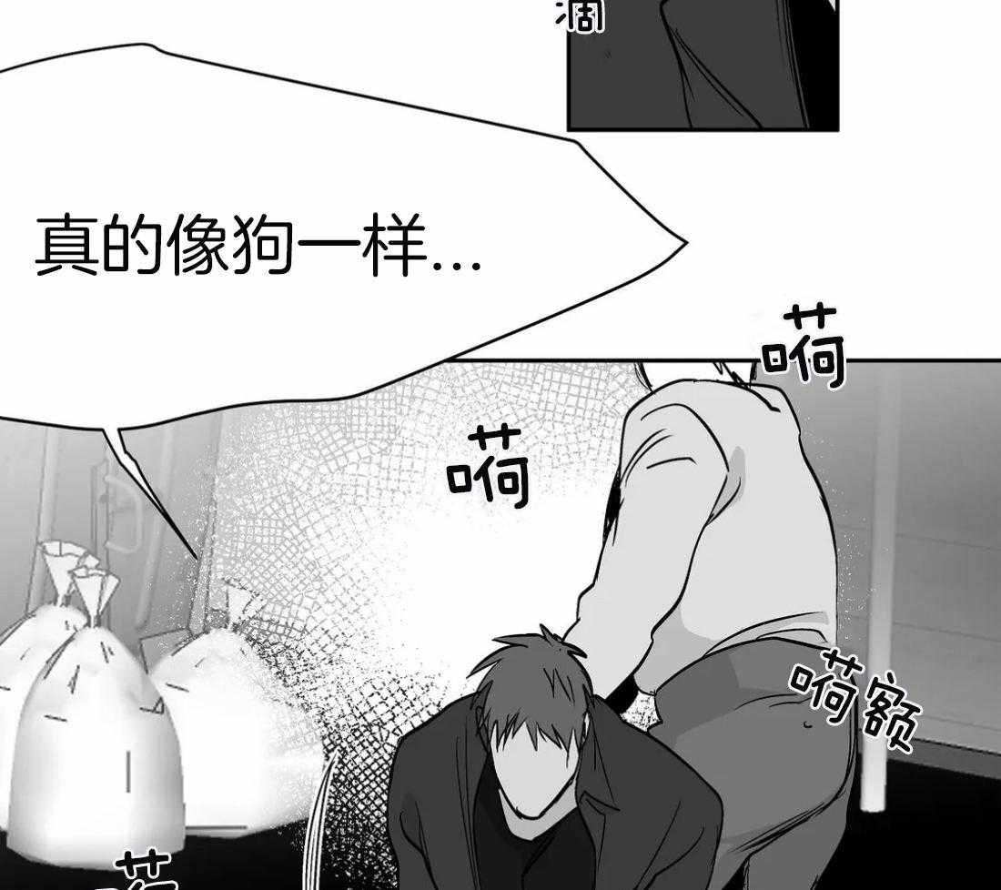 第65话_再次相遇5