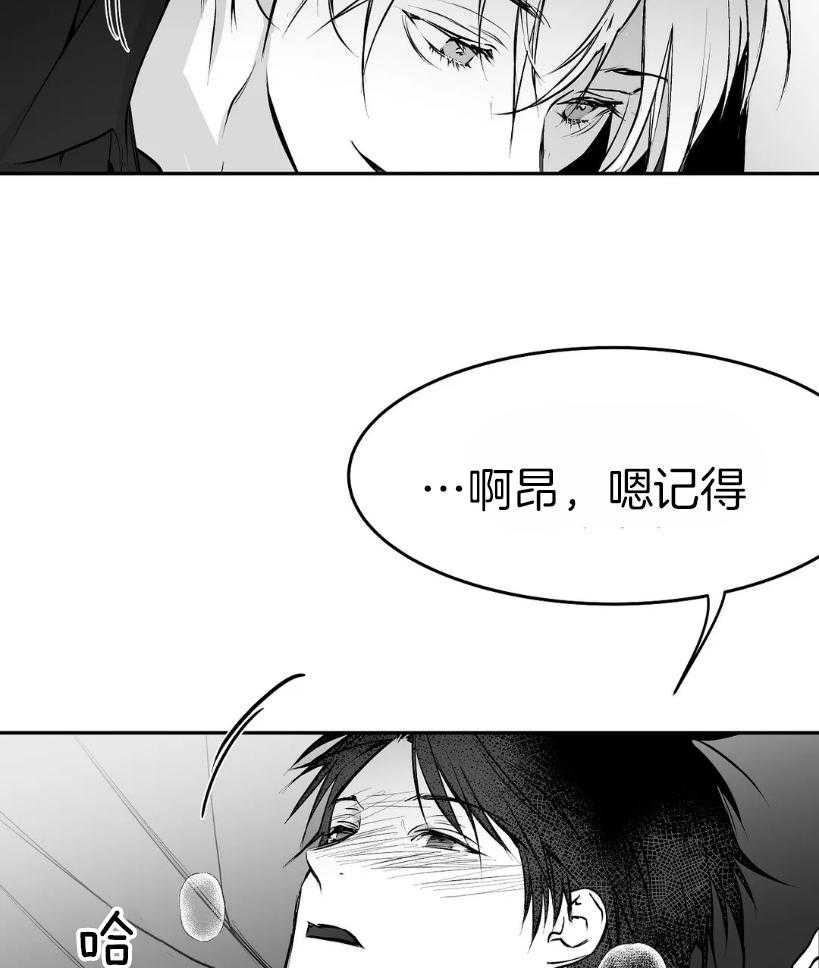 第42话_一点防备也没有16
