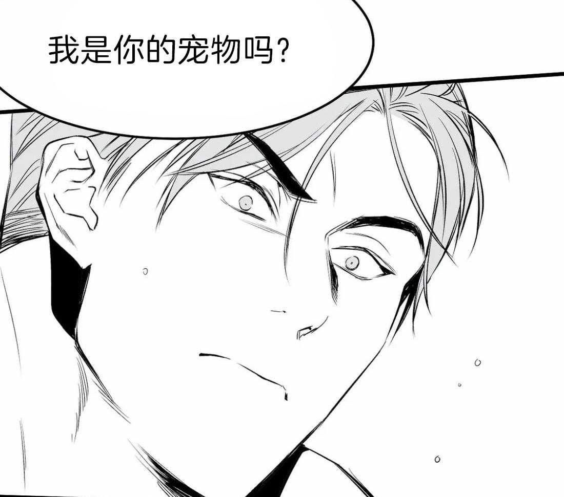 第15话_诱饵14