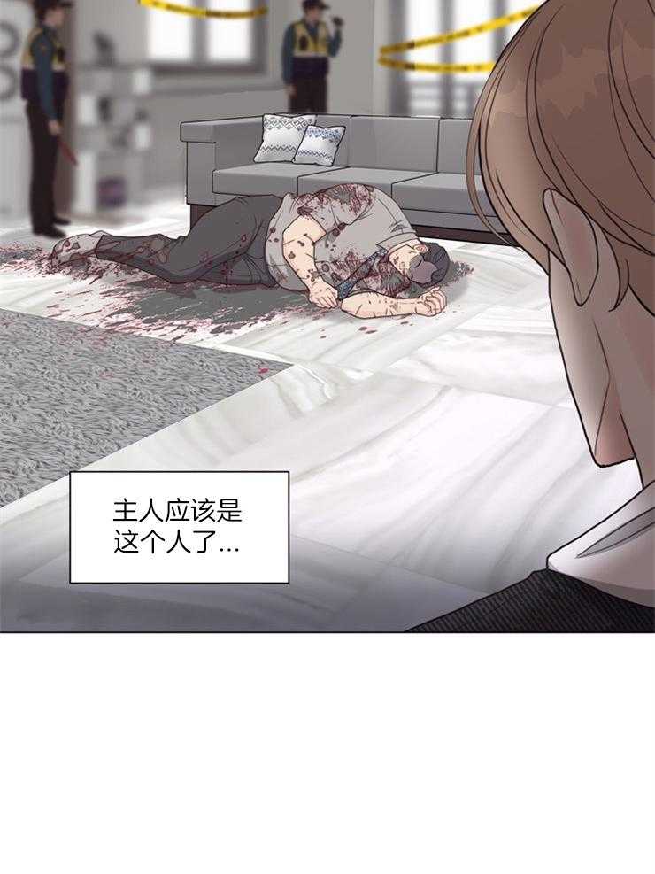 第114话_是错觉13